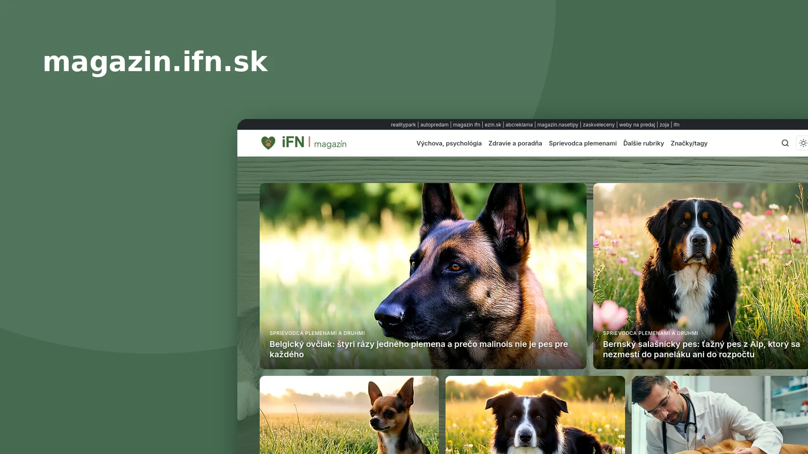 Úvodná stránka portálu magazin.ifn.sk